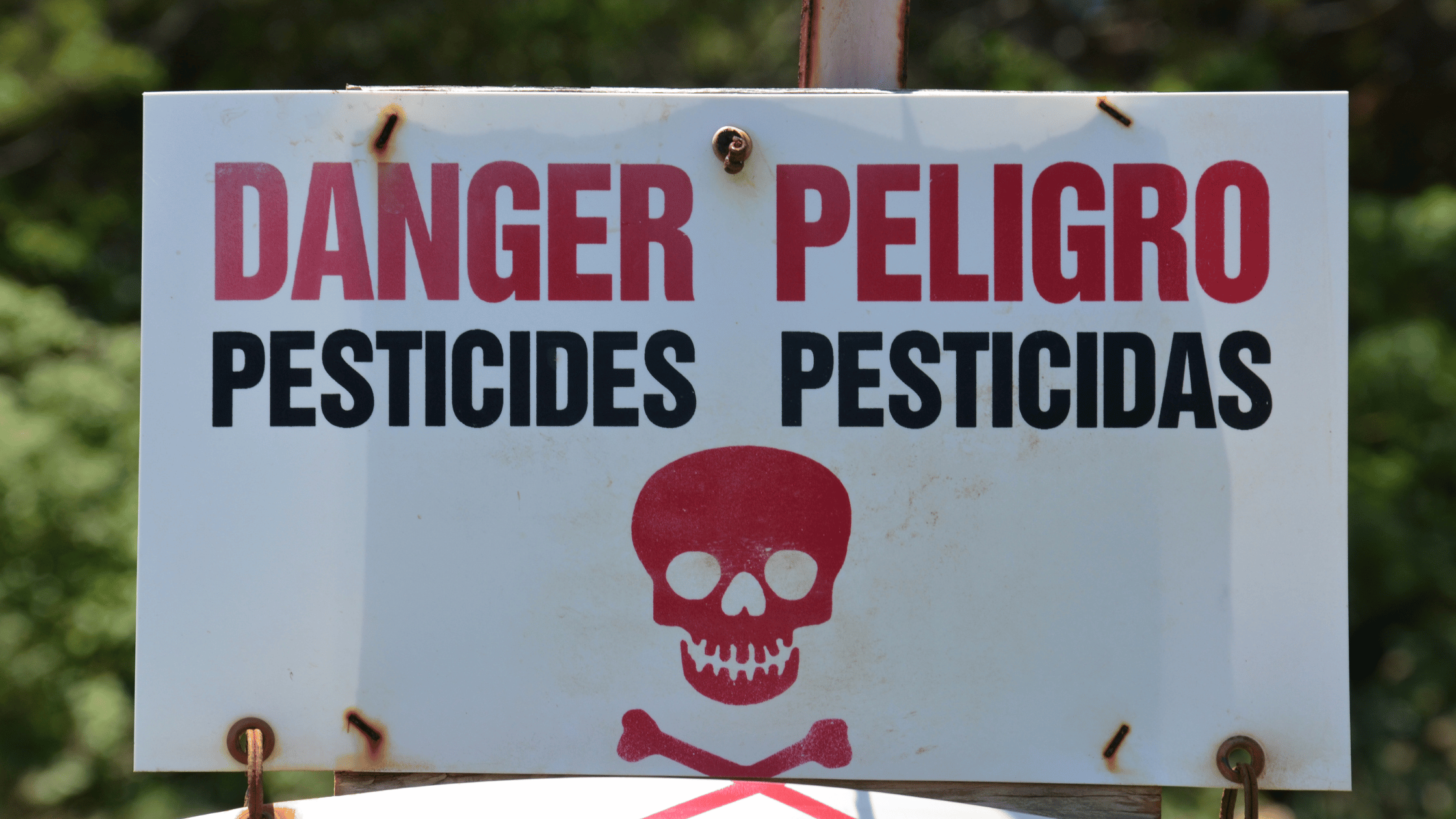 Pesticidi e inquinamento